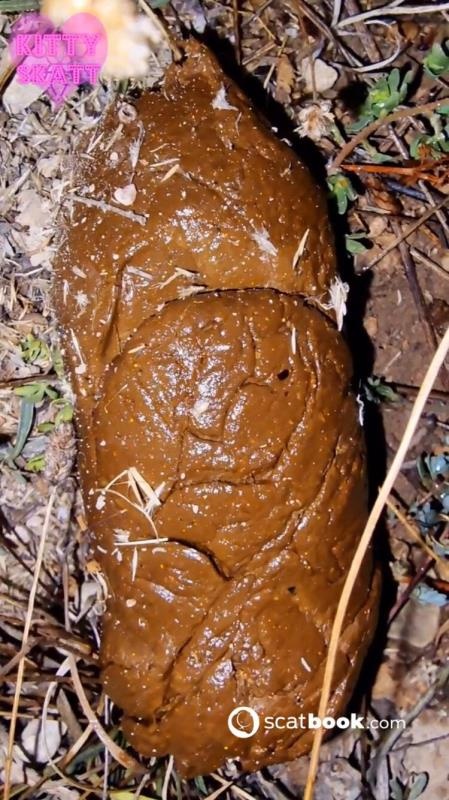 Open Field Outdoor Poo on Festival. P1 2024 (UltraHD/2K)