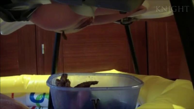 Young Girls Poop From Chair On Slave In Pool P1 2025 (SD)