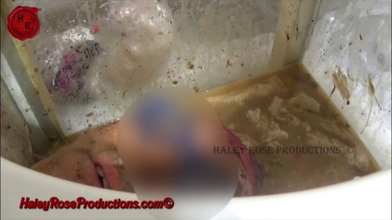 12 Hours Locked in Toilet Box Part 2 2025 - Haley Rose Productions (FullHD)
