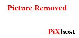 PLBZ – The ass of the human toilet must be punished in order to work properly 2025 (HD)