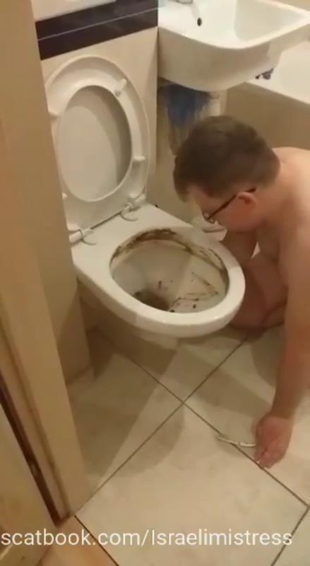 Shitty bitch training feeding in the toilet P1 2025 (SD)