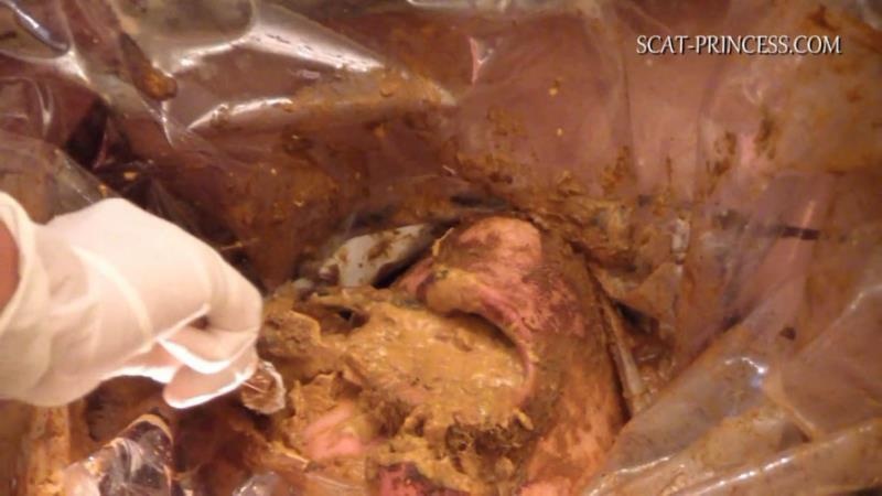 Scatmania Underground Toilet Slave Part 5 Sc M St 2025 (HD)