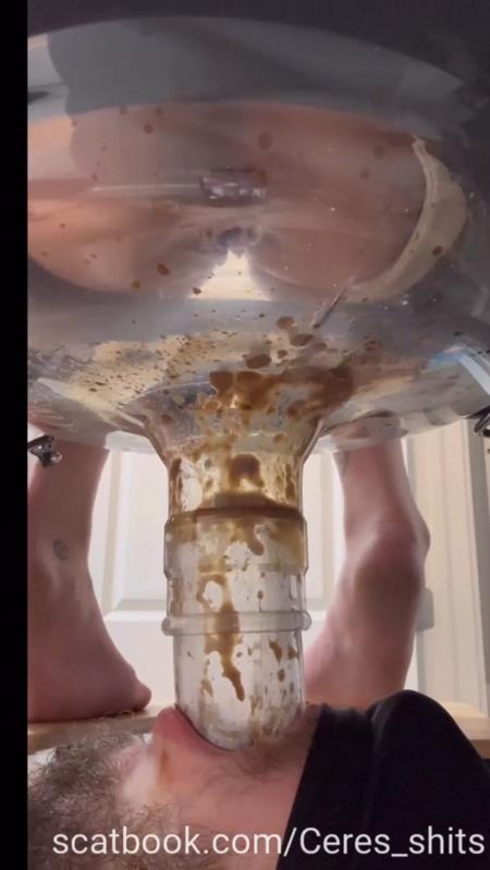 A Day of Shitting Down My Toilet's Throat P1 2025 (SD)