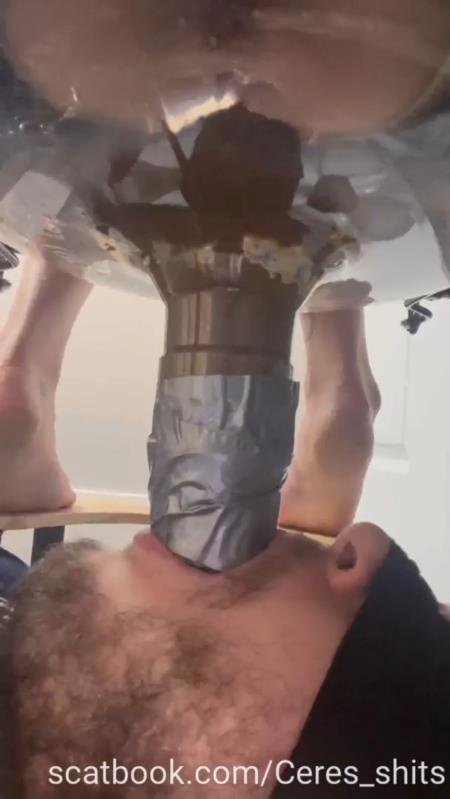 Toilet Annihilation with Goddess Ceres P1 2025 (SD)