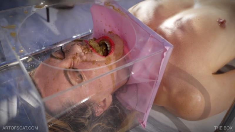 THE BOX 2025 - QS, NAZRYANA (FullHD)