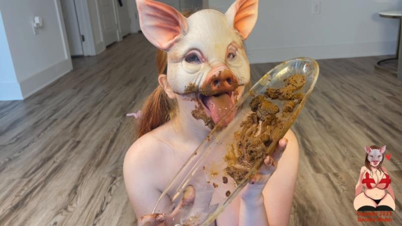 Piglet Domestication - S1E1 Shit Eating Piglet 2025 - GingerCris (FullHD)