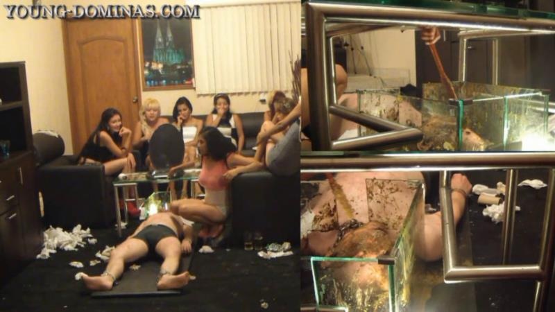 Sorry Slave, you stay, until you swallowed all the Shit Part 10 HD. P1 2025 - Young Dominas (HD)