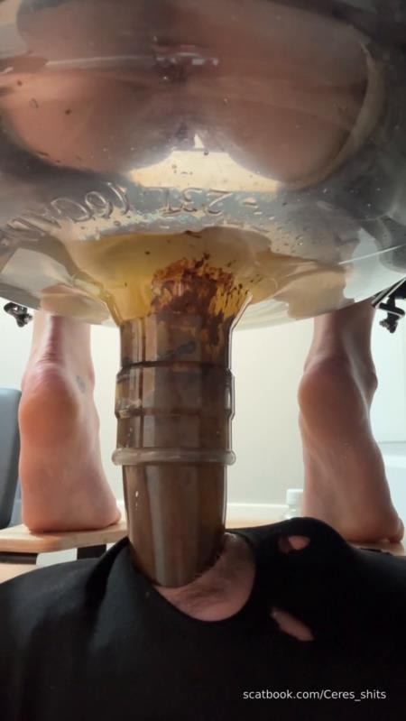 2025-12-05 - Haha Suffer Loser Swallow My Load 2025 - Goddess Ceres (SD)