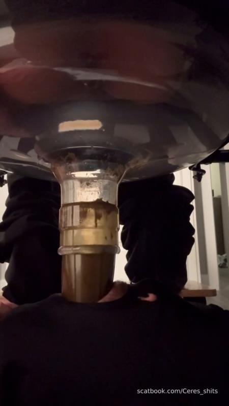 Goddess Ceres-2025-10-19 - Toilet Swallows All My Waste For The Day 2025 (SD)