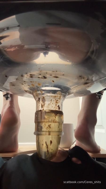 2025-11-03 - My Diarrhea Recepticle 2025 - Goddess Ceres (SD)