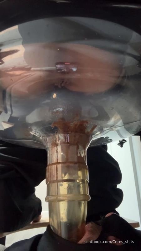 2025-11-13 - A Quick Shit Down My Septic Tanks Throat 2025 - Goddess Ceres (SD)