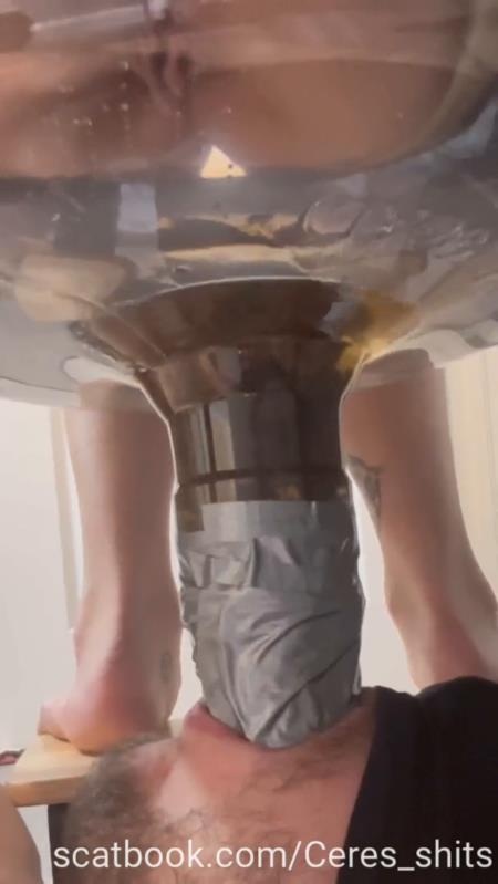 A Full Day Of Humiliation Hiking With A Toilet 2025 - Goddess Ceres (SD)