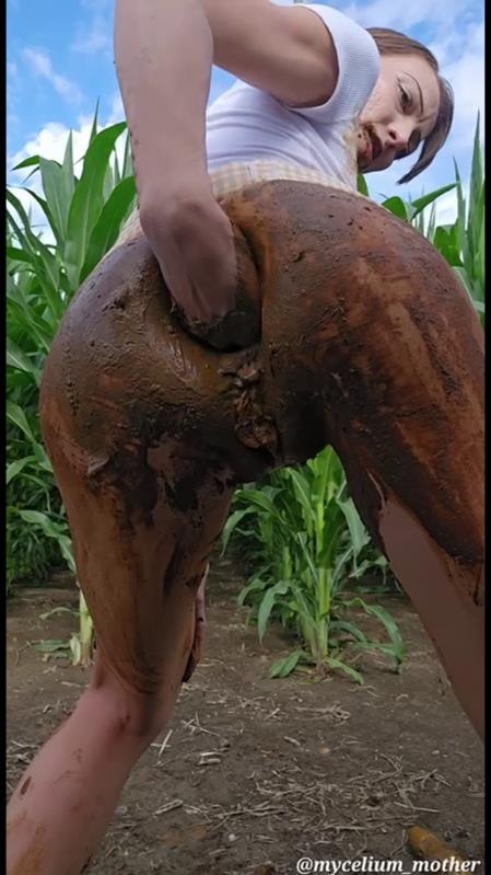 The A-maize-ing Mycelium mother 2025 - Mycelium Mother (SD)