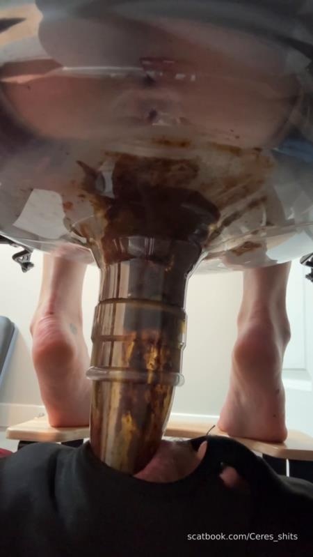 Daily Toilet Torture » Mixfemdomcc - Latest Femdom Porn for Online Streaming 2025 - Goddess Ceres (SD)