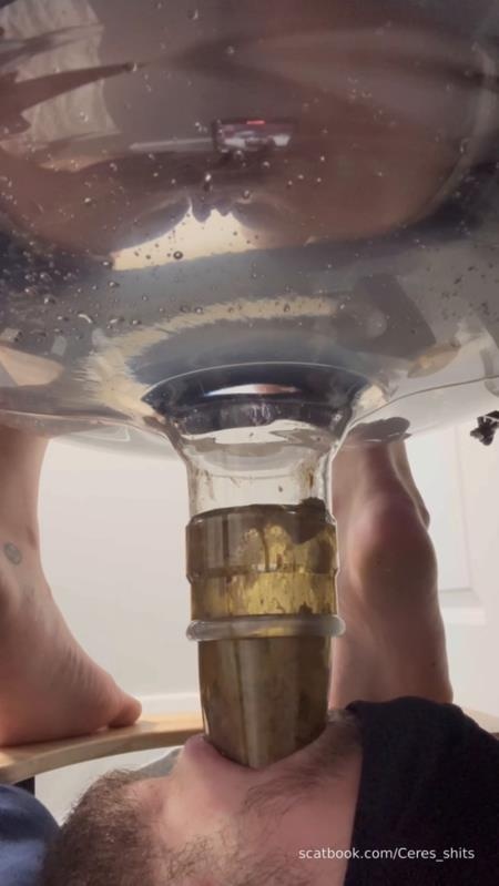 Human Toilet's First Malfunction Infinite Shit Down Your Throat » Mixfemdomcc - Latest Femdom Porn for Online Streaming 2025 - Goddess Ceres (SD)