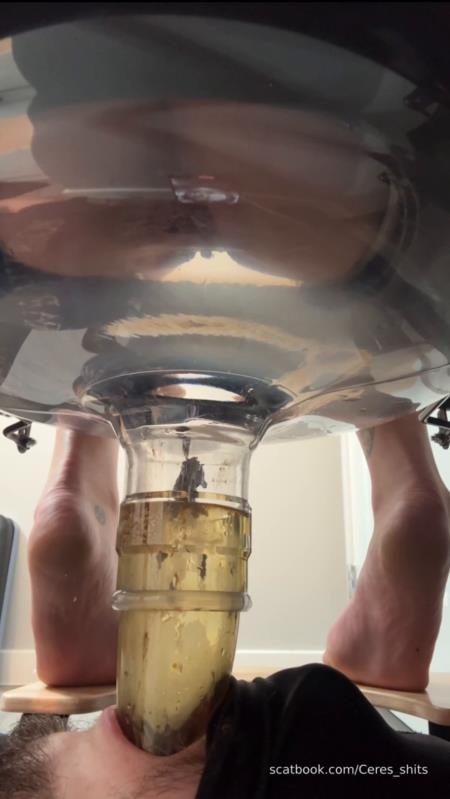 Five Levels of Shit » Mixfemdomcc - Latest Femdom Porn for Online Streaming 2025 - Goddess Ceres (SD)