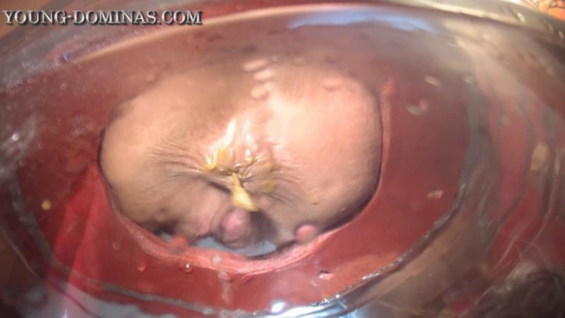 The Poop Barril Part 3 HD. P1 2026 (HD)