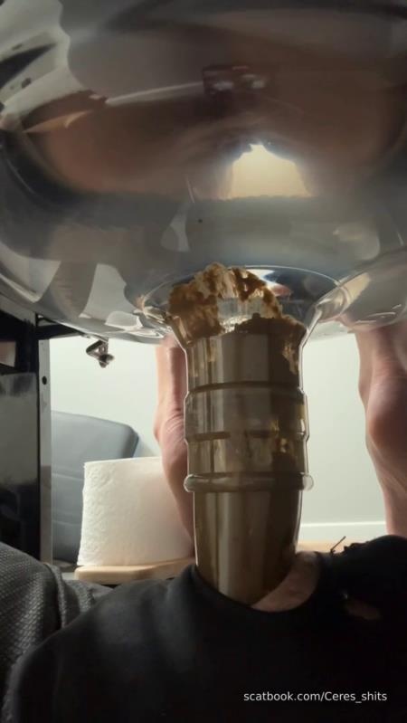 Daily Toilet Torture P1 2026 (SD)