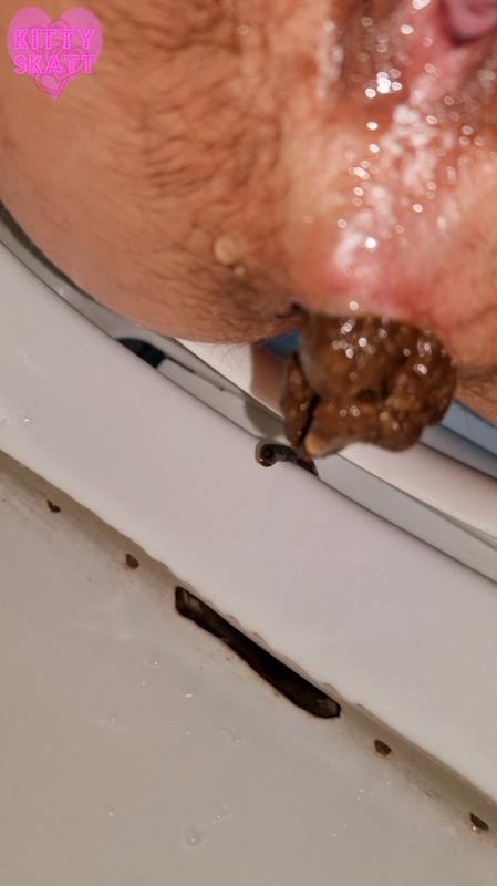 Four unflushable logs 2026 (SD)