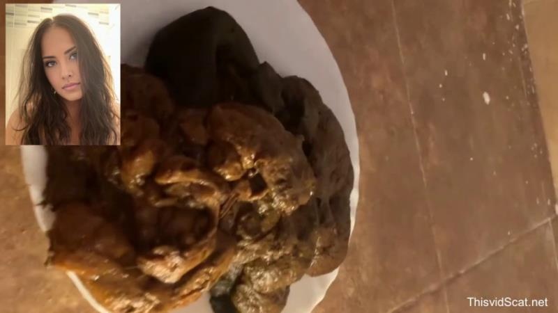 A huge pile of shit goes into the toilet. P1 2026 (HD)