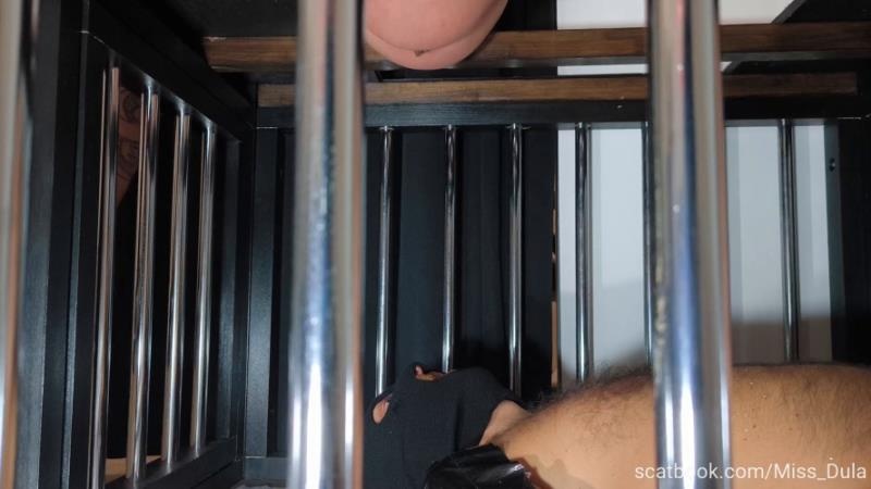 My Poop In His Mouth » Mixfemdomcc - Latest Femdom Porn for Online Streaming 2026 - MISS DULA (FullHD)