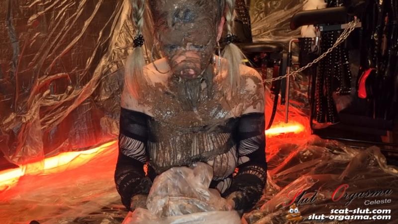 Extreme disgusting scat pig shitting puking swallowing 2026 (FullHD)