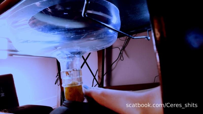 A Private Session with My Toilet 2026 (FullHD)