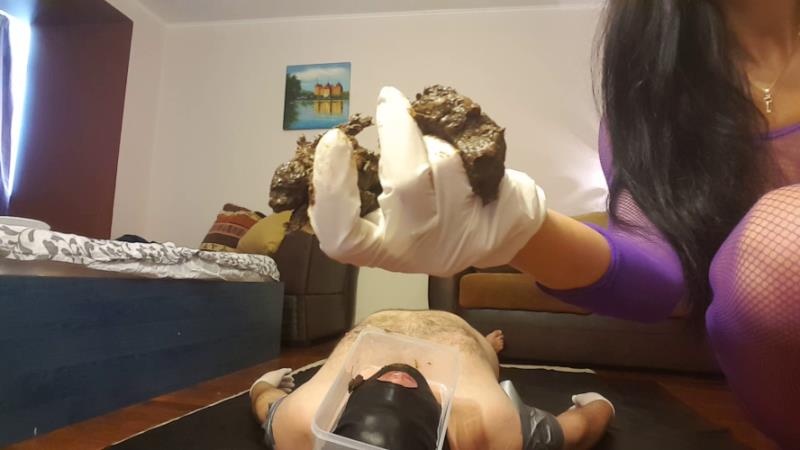 Pooping On My Slave’s Face 2026 (FullHD)