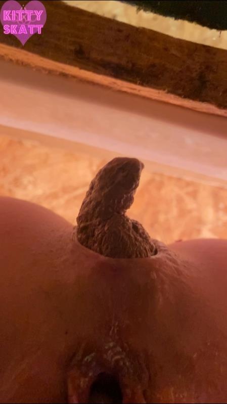 POV hookup in festival toilet 2026 - Kitty Skatt (SD)