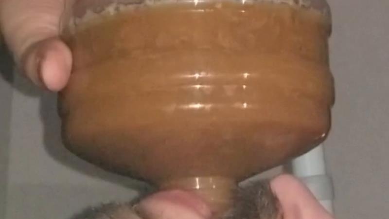 Chugging LITERS of my poop-flavored pee 2026 - SSBBW Queen Siya (HD)