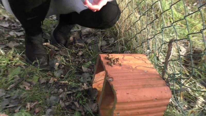 Compilation Dump Set 177 Videos P16 2026 - HotDirtyIvone (FullHD)