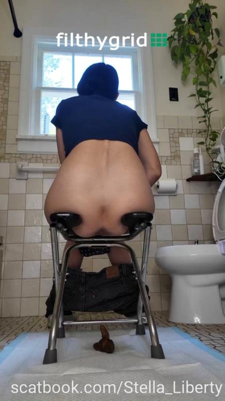 Number Two with the Toilet Chair 2026 (SD)