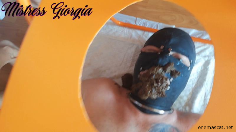 morning shit » Mixfemdomcc - Latest Femdom Porn for Online Streaming 2026 - Mistress Giorgia (FullHD)